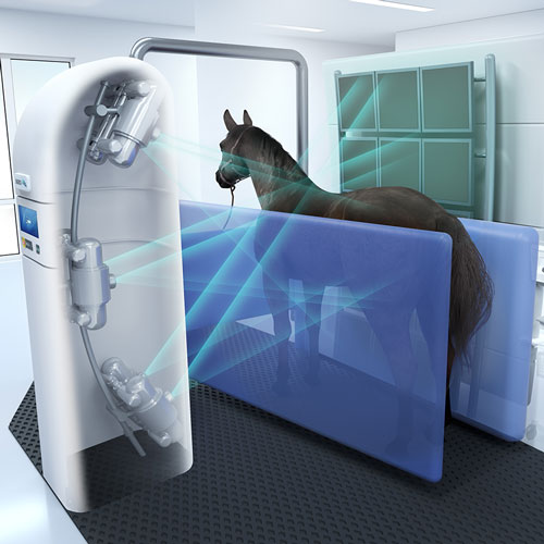 NHD Equine Scanner 3D Visualisation